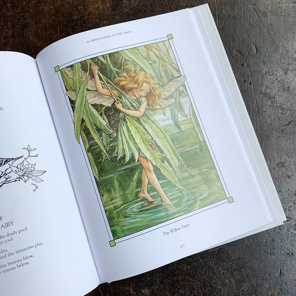 Cicely Mary Barker - The Complete Book of The Flower Fairies