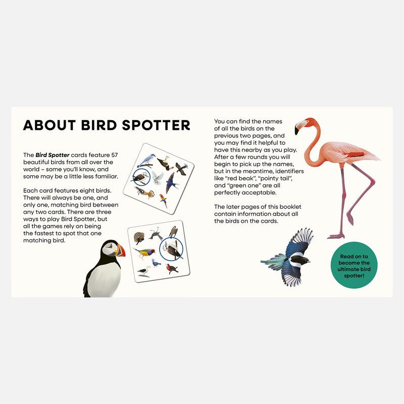Bird Spotter Game