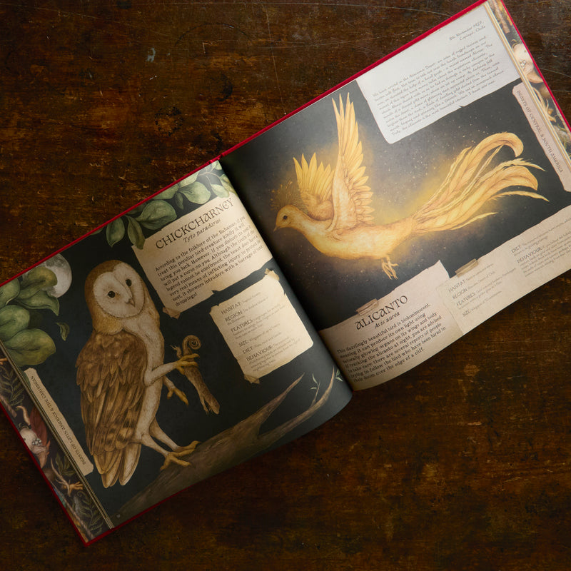Magic Beasts Book A Natural History of Magical Beasts – MamaOwl