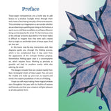 Crafting Magical Window Stars - How to Make Beautiful Paper Stars
