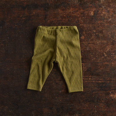 Finch Baby Leggings - Cotton Pointelle - Olive