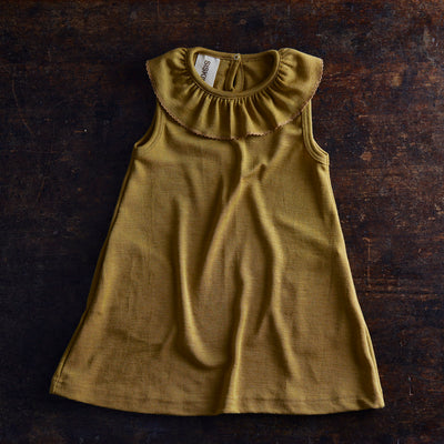 Wren Dress - Merino Wool & Silk - Pistachio