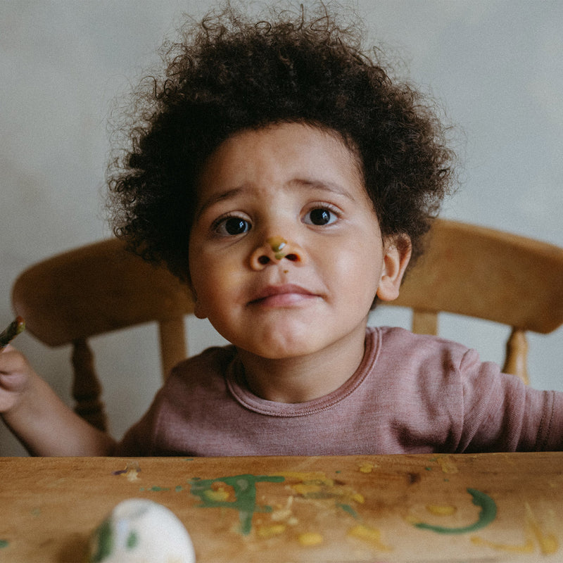 Natural Egg Dye Kit