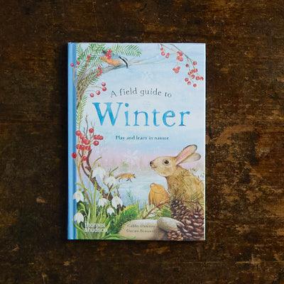 Gabby Dawnay - A Field Guide to Winter Play and Learn in Nature
