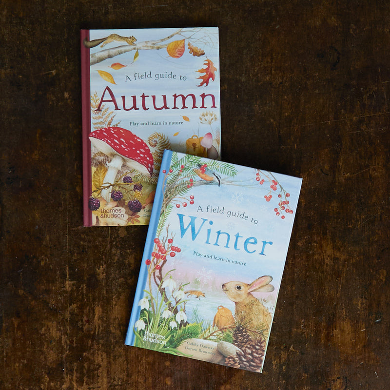 Gabby Dawnay - A Field Guide to Winter Play and Learn in Nature