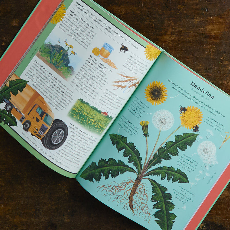 Jonathan Drori - The Stuff that Stuff is Made of - Things We Make With Plants