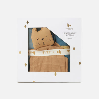 Newborn Cotton Baby Gift Box - Cottage Blue Mix