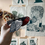 Greeting Cards - Birds - Many options