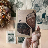 Greeting Cards - Birds - Many options