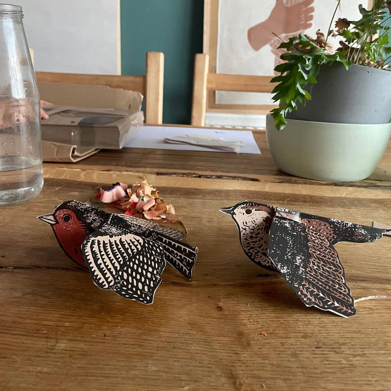 Greeting Cards - Birds - Many options