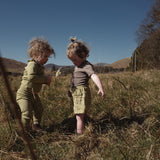 Rowan Shorts - Linen - Celadon