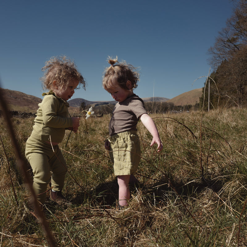 Rowan Shorts - Linen - Celadon