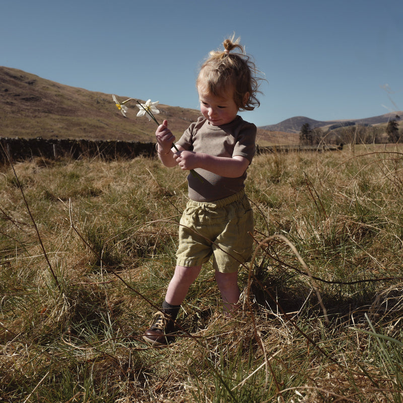 Rowan Shorts - Linen - Celadon