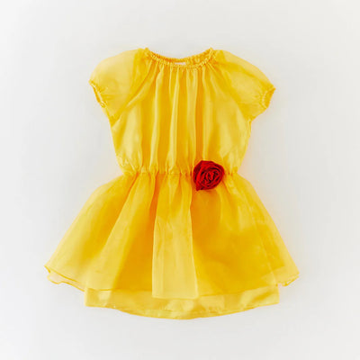 Silk Belle Dress