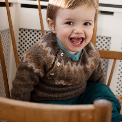 Alpaca Raglan Sweater - Earth