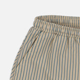 Asnou Swim Shorts - Bluie Stripe