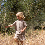 Baby & Kids Cotton Olive Shorts - Cashmere Colour