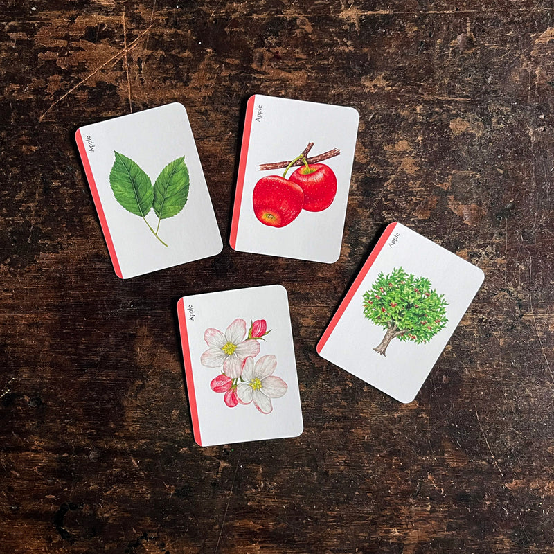 Tree Families: A Botanical Card Game