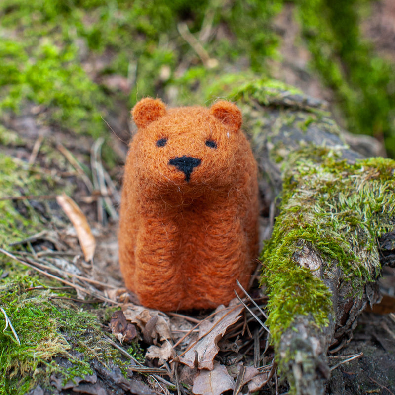 Felting Kit - Bear