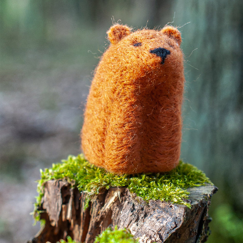 Felting Kit - Bear