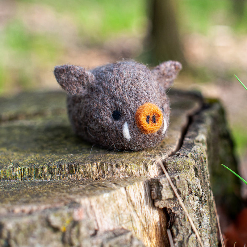 Felting Kit - Boar