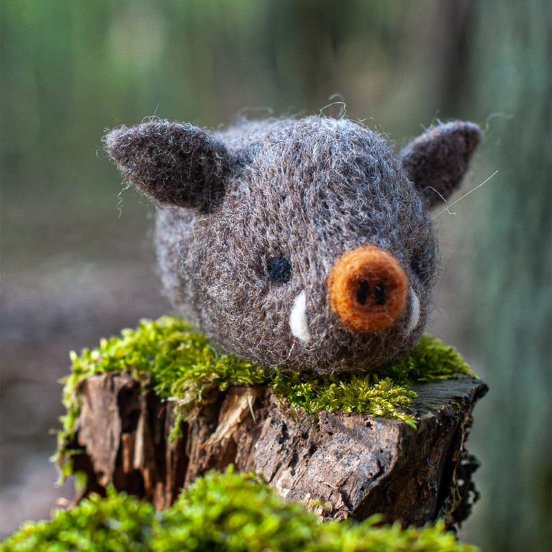 Felting Kit - Boar