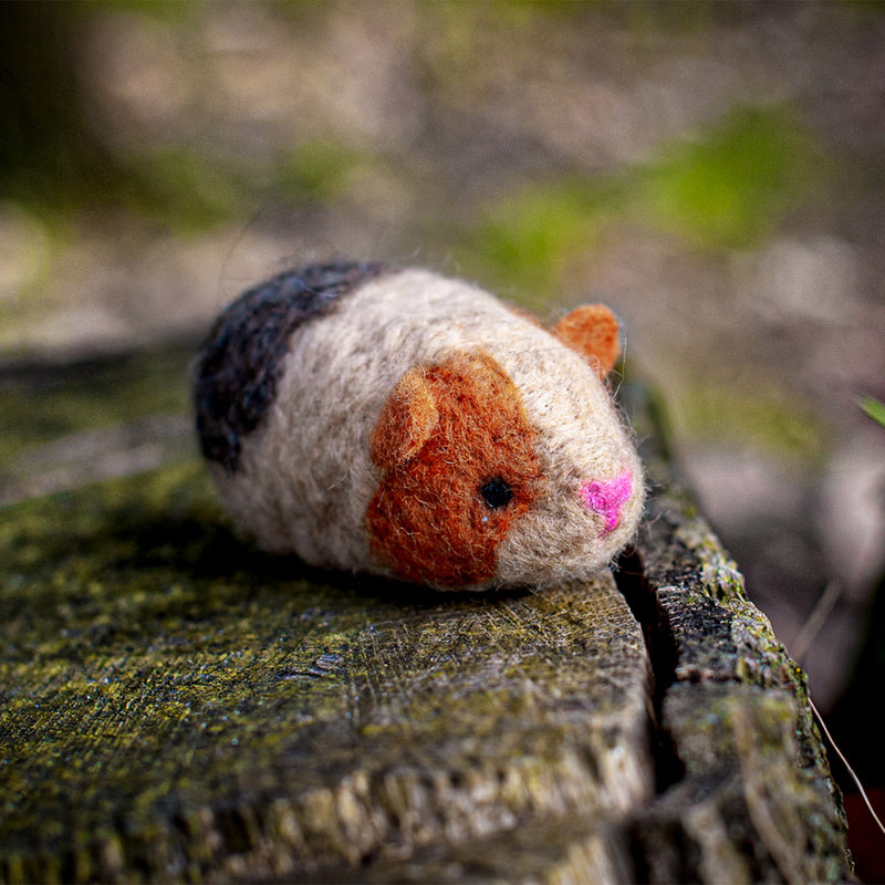 Felting Kit - Guinea Pigs