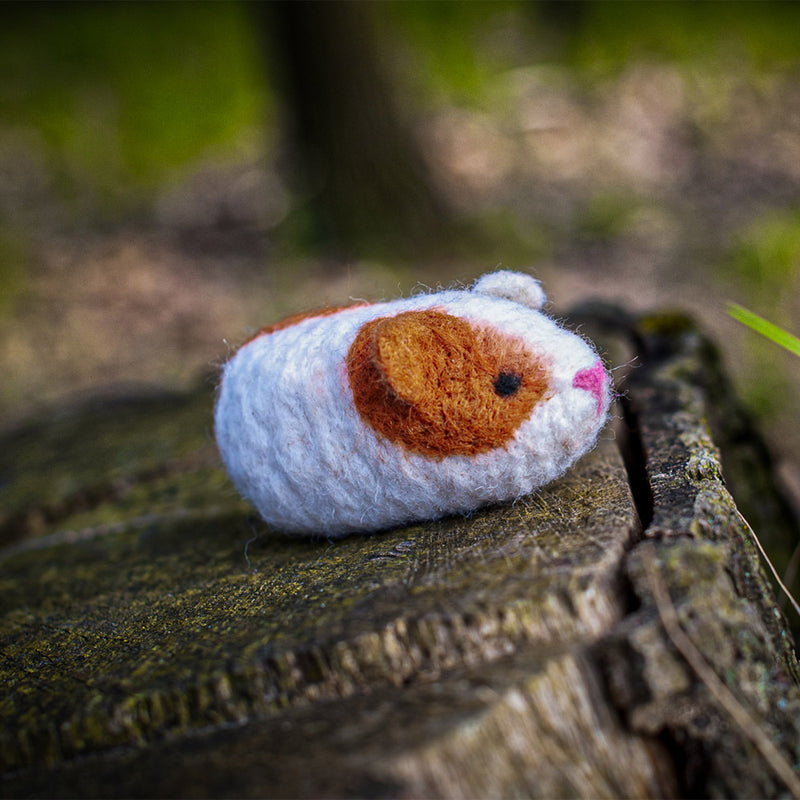 Felting Kit - Guinea Pigs