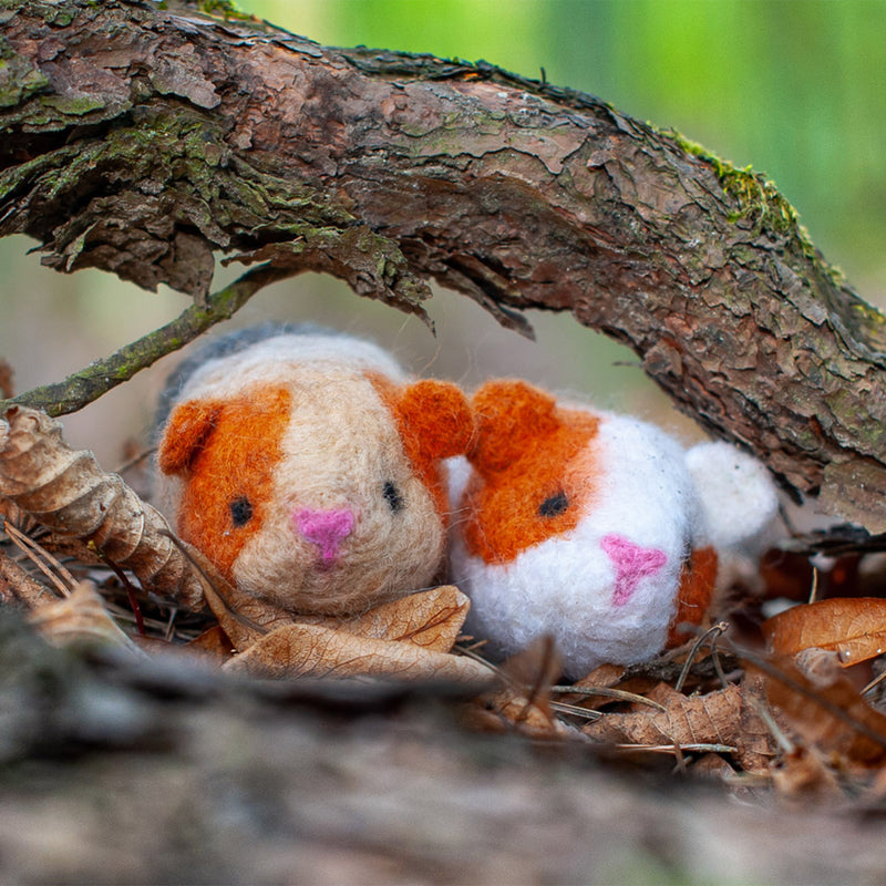 Felting Kit - Guinea Pigs