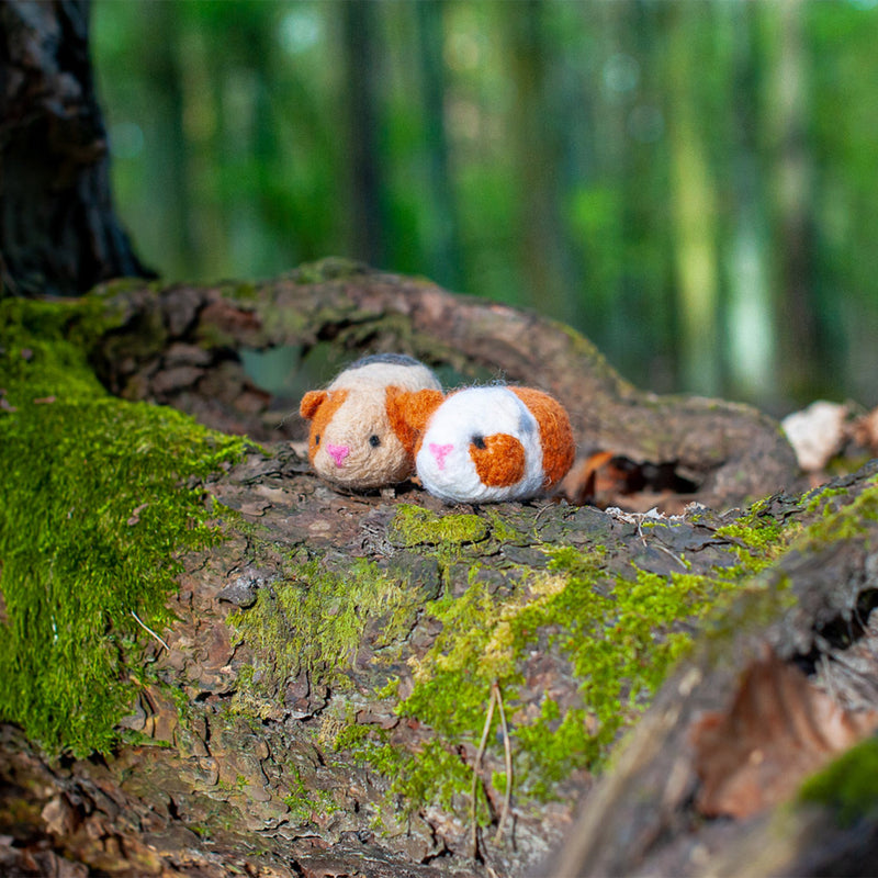 Felting Kit - Guinea Pigs