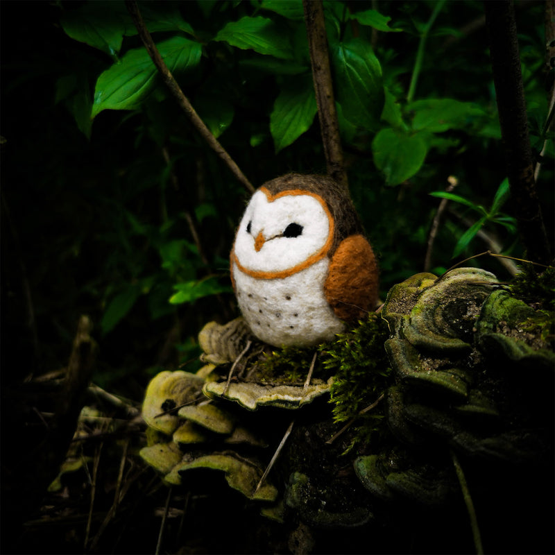 Felting Kit - Owl