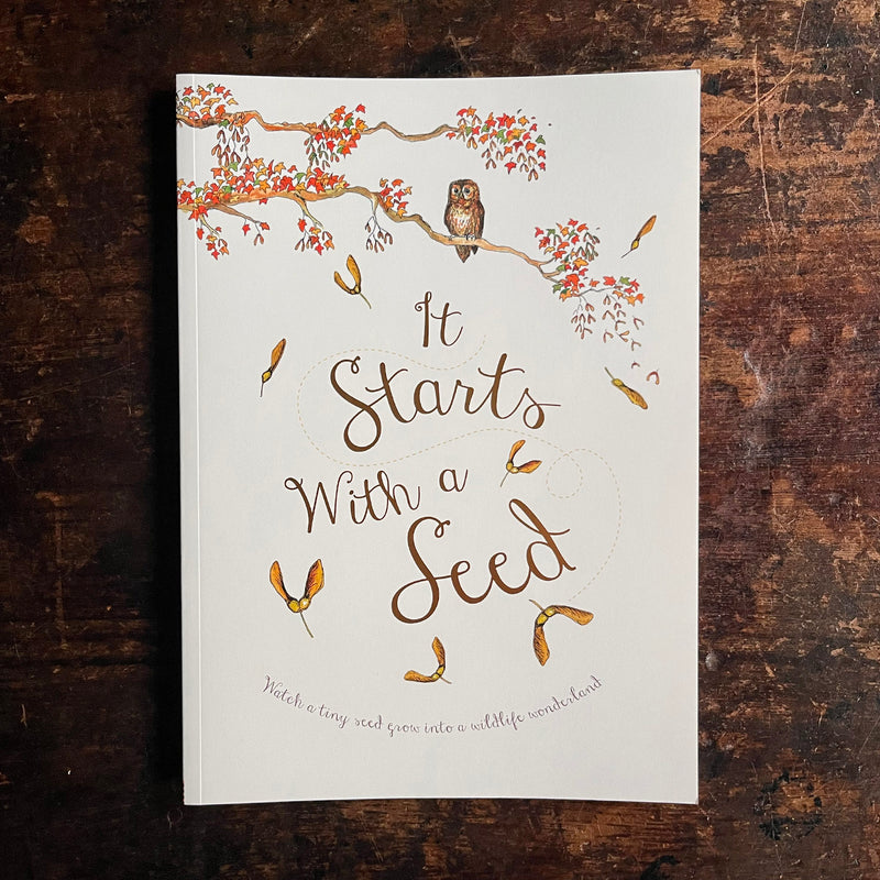 plant a seed and watch it grow poem It Starts With A Seed by Laura Knowles