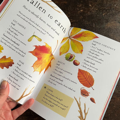 Gabby Dawnay - A Field Guide to Autumn, Play and Learn in Nature