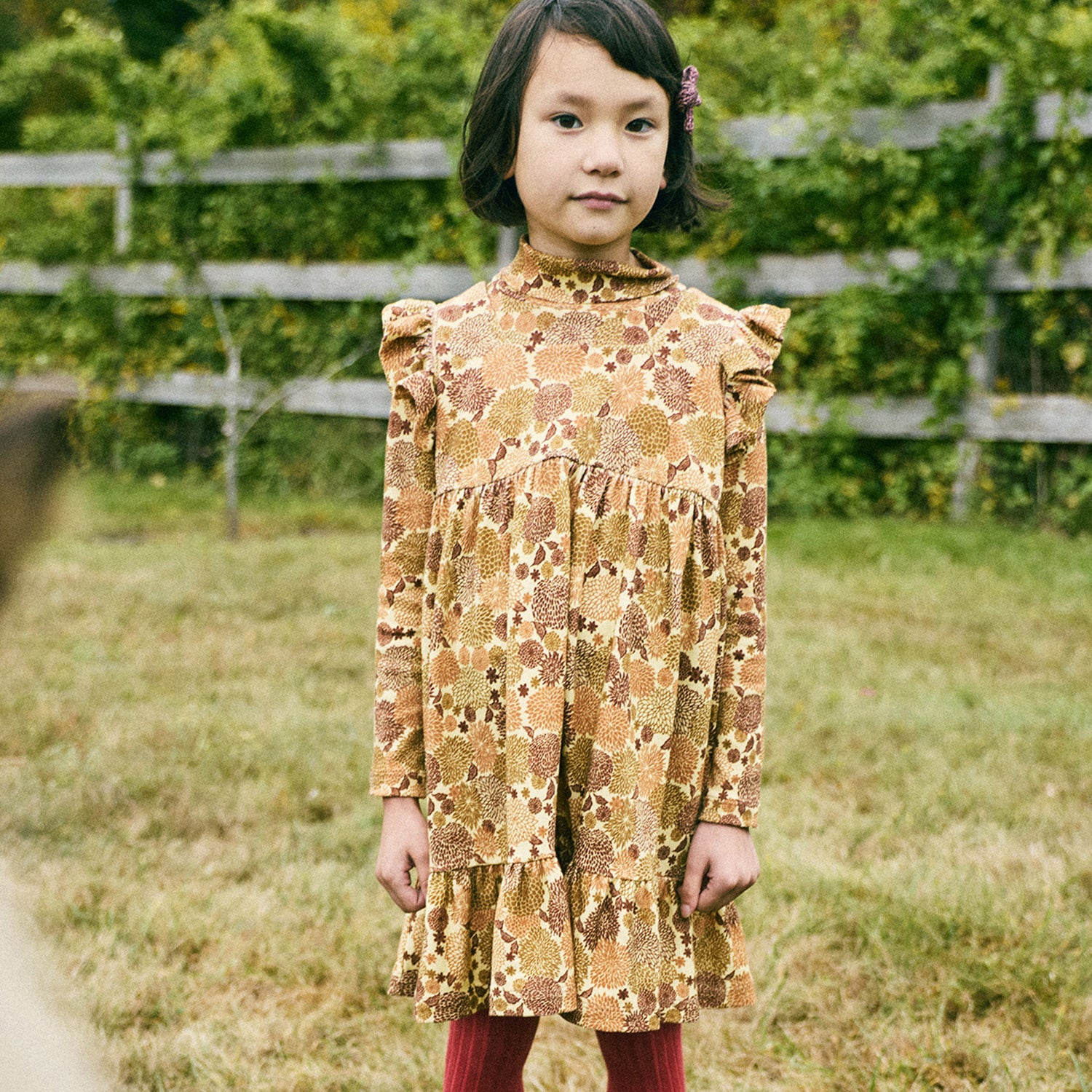 Pima Cotton Ruffle Sleeve Dress - Acorn Chrysanthemum – MamaOwl