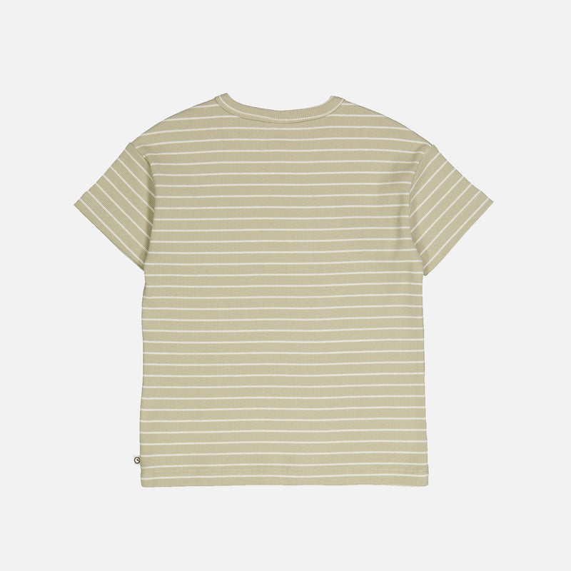 Cotton Rib Tee - Desert Green/Balsam Cream Stripe