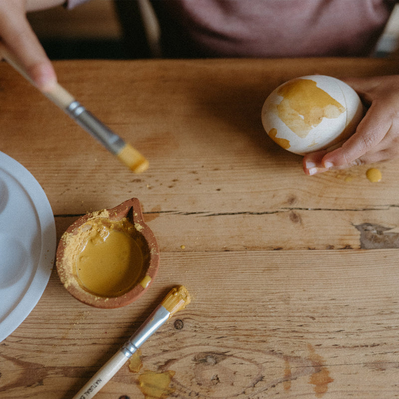 Natural Egg Dye Kit