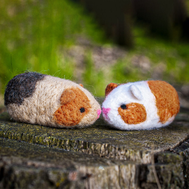 Felting Kit - Guinea Pigs