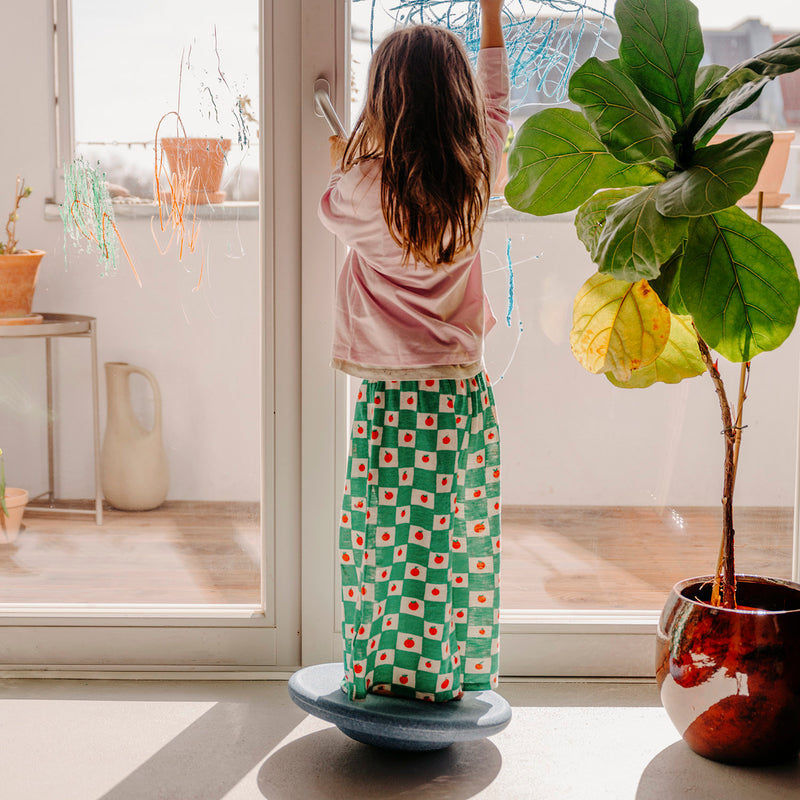 Balance Board - Many Colours
