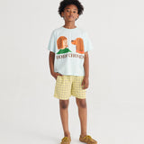 Kids Cotton Bermuda Shorts - Spicy Window Pane