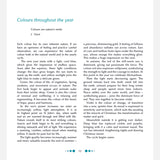 Michaela Kronshage & Sylvia Schwartz - Transparent Window Scenes Through the Year