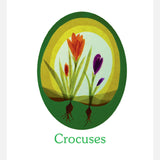 Michaela Kronshage & Sylvia Schwartz - Transparent Window Scenes Through the Year