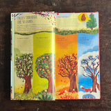 Philippa Forrester - Make and Play: Build A Tree