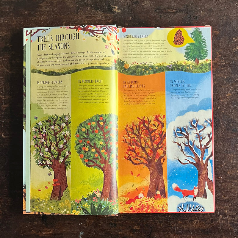 Philippa Forrester - Make and Play: Build A Tree