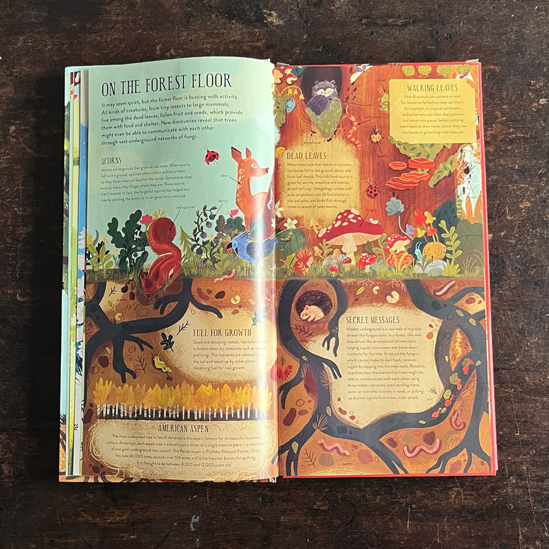 Philippa Forrester - Make and Play: Build A Tree