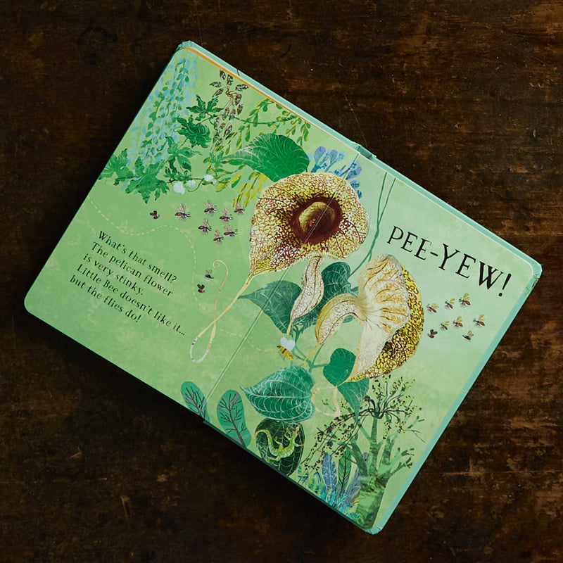 Yuval Zommer - Little Bee's Book of Blooms