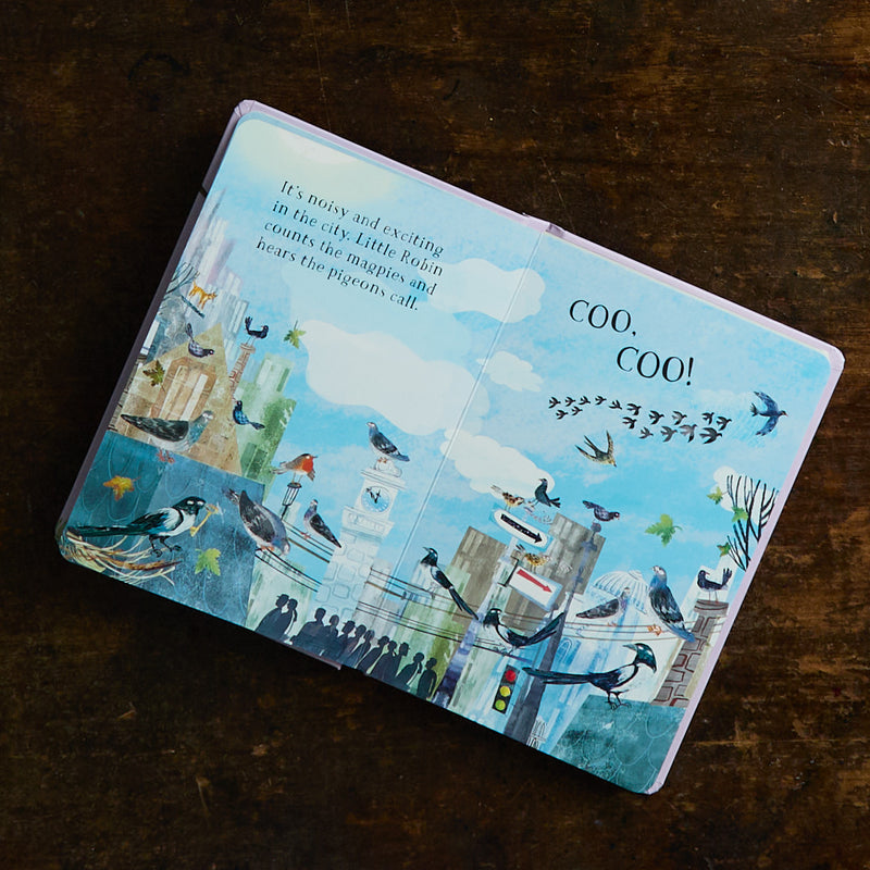 Yuval Zommer - Little Robin's Book of Birds