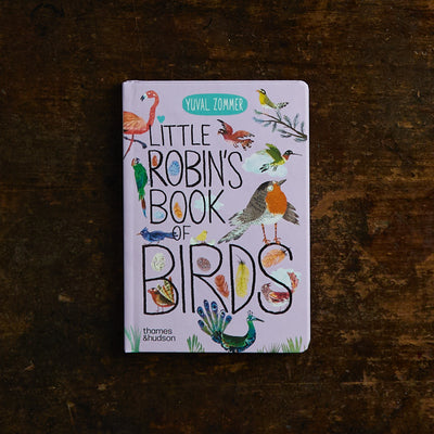 Yuval Zommer - Little Robin's Book of Birds