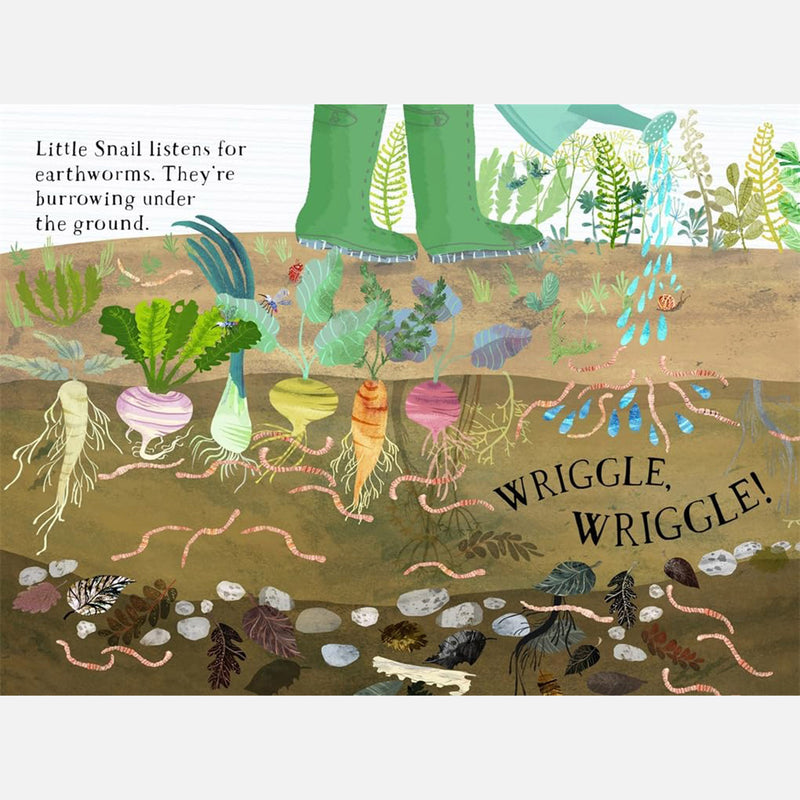 Yuval Zommer - Little Snail's Book of Bugs