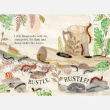 Yuval Zommer - Little Snail's Book of Bugs