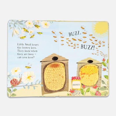 Yuval Zommer - Little Snail's Book of Bugs